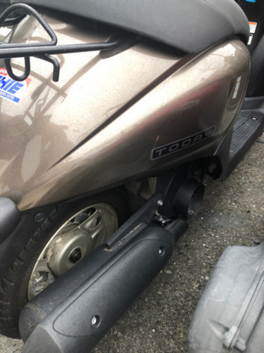 HONDA トゥデイAF67 ワンオーナー   福岡市南区