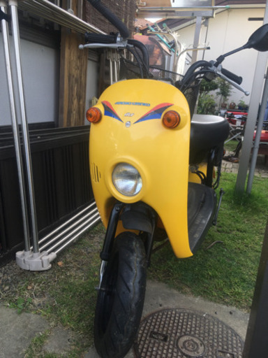 スズキ　チョイノリ