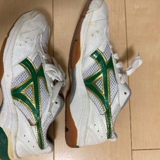 体育館シューズ　体育館履き　GYMSTAR 23.5cm ムーンスター　緑　グリーンの画像