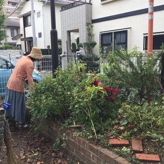 小金井市内小規模公園花壇の、小さな花壇ボランティア (随時メンバー募集) - メンバー募集