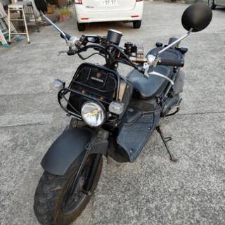 ホンダ　ズーマー　AF58型の画像