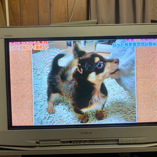 地デジ対応ブラウン管テレビ 差し上げます。