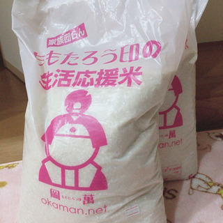 国内産米　10kg