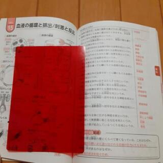 中学生の５科ポイント　赤シート付き☆の画像