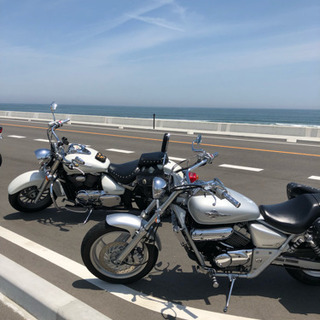 メンバー増員中٩( ᐛ )و 