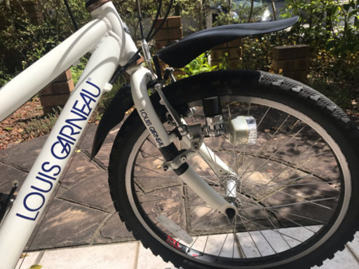 ルイガノ 22インチ 子供用自転車 LGS-J22