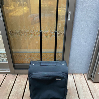 キャリーバッグの画像