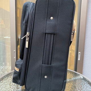 キャリーバッグの画像