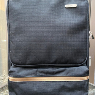 キャリーバッグの画像