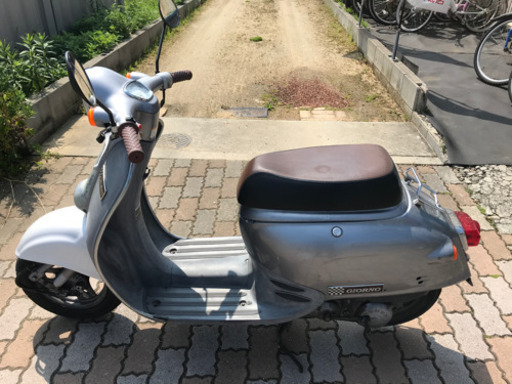 本日限り価格⁉️