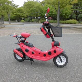 ホンダ ズーク てんとう虫仕様 キック一発　自賠責ありの画像