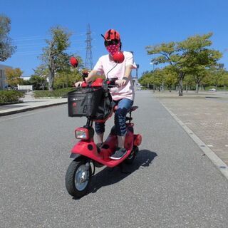 ホンダ ズーク てんとう虫仕様 キック一発　自賠責ありの画像