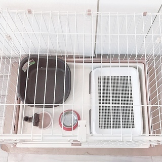 美品※ペットケージセット【小型犬〜中型犬用】お譲りします！ 【公式通販】