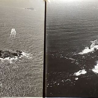 磯釣り好き向け伊豆の島パネル　さしあげますの画像