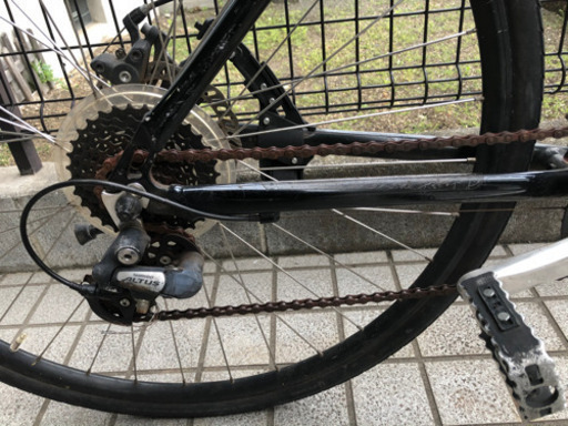 LOUIS GARNEAU 「ルイガノ」