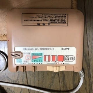 【本日中】 ホットカーペットを無料で差し上げます。の画像