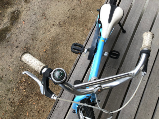 ルイガノ　16インチ