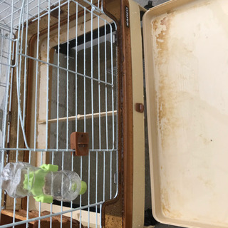 うさぎ用品 セット 【中古】の画像