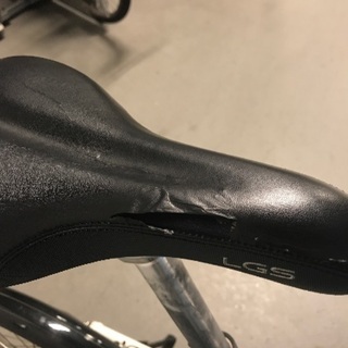 LOUIS GARNEAU LGS-MV 1  ルイガノ 自転車　20インチの画像