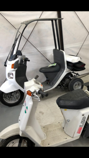 ジャイロX キャノピー　TA03   不動