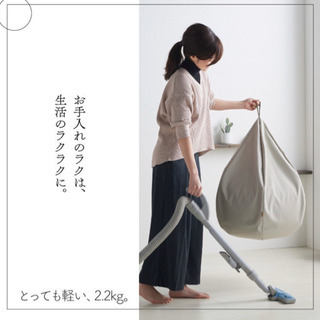【ほぼ未使用】人と暮らしになじむクッション　スタイリスオニオンの画像