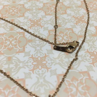 最終値下げ5.17【美品】ザニポロタルツィーニ　ネックレスの画像