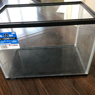 熱帯魚 爬虫類など 水槽