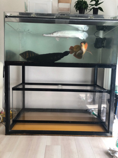 ※今日だけ値下げ　上部フィルターセット　1200アクリル水槽