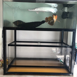 今日だけ値下げ 上部フィルターセット 1200アクリル水槽