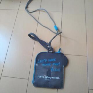 ディズニーランドのパスケースの画像