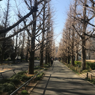 明るく元気な家庭教師！　慶大生/元スタバ店員/体育系の画像