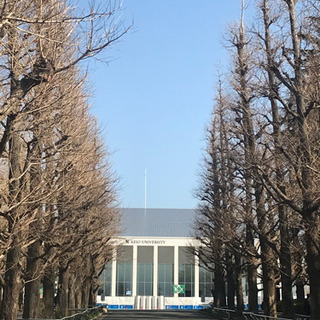 明るく元気な家庭教師！　慶大生/元スタバ店員/体育系