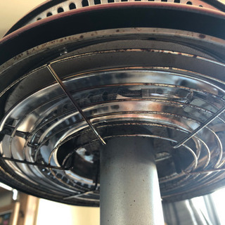 ザイグルの画像