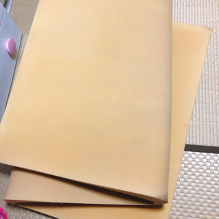 トゥルースリーパー　お譲り先決まりました！の画像