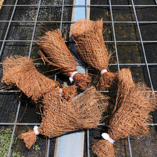 メダカ産卵床