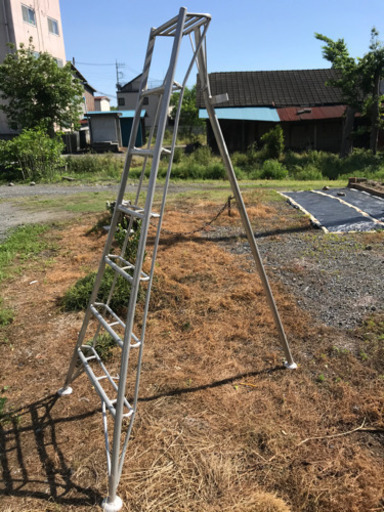 ★アルミ三脚/脚立/植木剪定などに★高さ220ぐらい★熊谷市