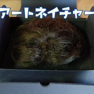 ウィッグ　アートネイチャー