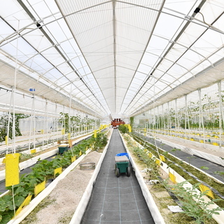 【ミドル・シニア応援】障がいのある方が働く農園の管理を一緒にサポートしてくださる仲間を募集！の画像