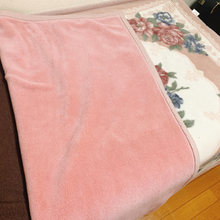 【お譲り先決定】毛布(＋敷布団)の画像