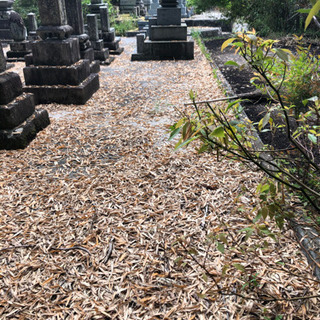 お墓掃除承ります(^^)♩