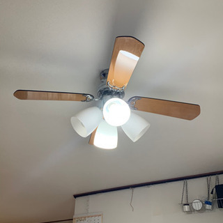 シーリングファンの画像