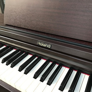 ローランド　RP-101Rの画像