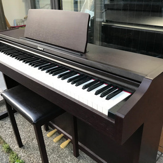 ローランド　RP-101Rの画像