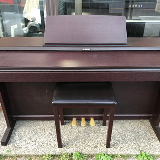 ローランド　RP-101Rの画像