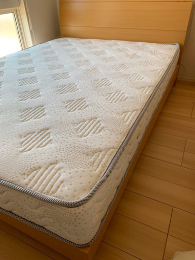 ダブルベット(購入者決まりました)