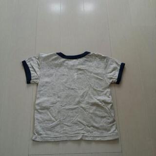 Tｼｬﾂの画像