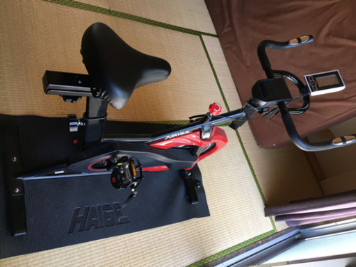 エアロバイク<HAIGE>