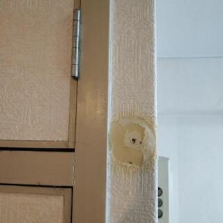 壁紙補修してくださる方