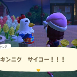 あつまれどうぶつの森を一緒にやりませんか？