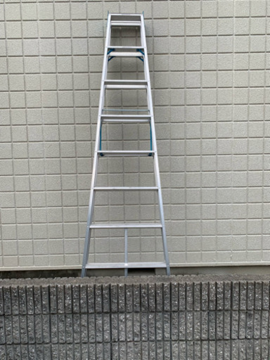 脚立 2メートル50センチ越え！